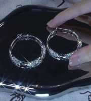 Silver Hoop Zircon Earrings -139