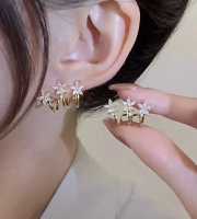 Starburst Cluster Zircon Earrings -144